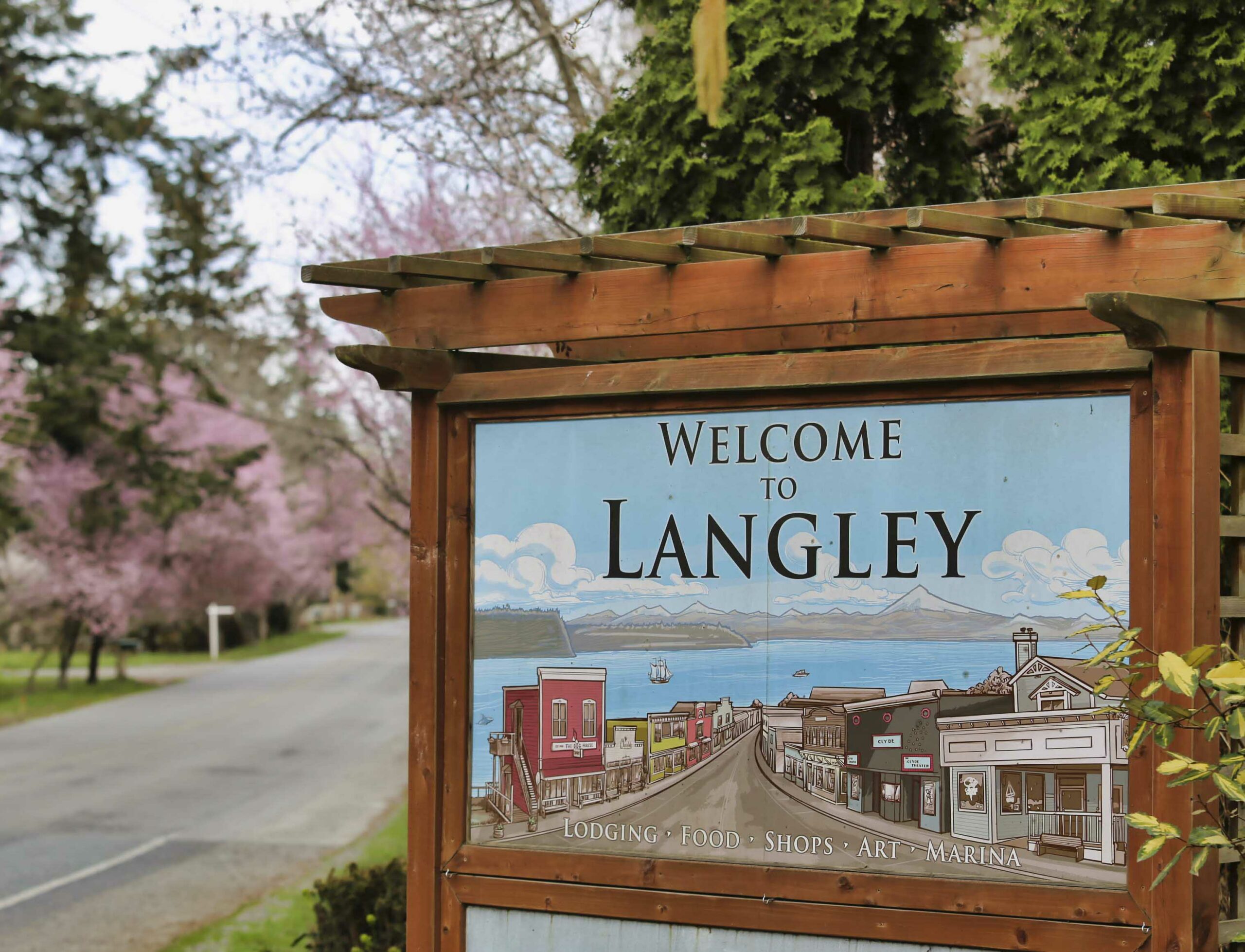whidbey-telecom-email-domain-name